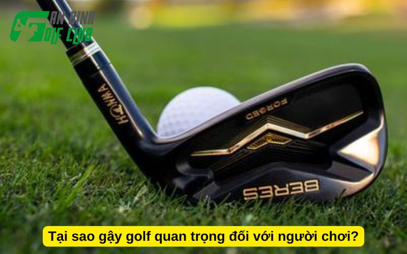 Tại sao gậy golf quan trọng đối với người chơi