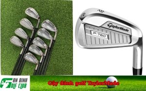Gậy đánh golf TaylorMade
