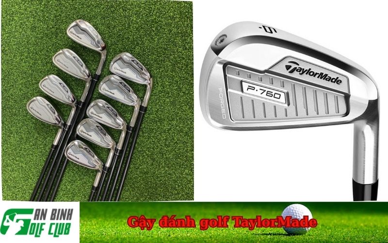 Gậy đánh golf TaylorMade
