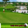 Luật chơi golf 9 lỗ – cách tính điểm và quy định cơ bản cho người mới