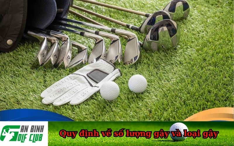 Quy định về số lượng gậy và loại gậy
