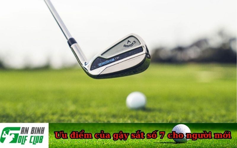 Ưu điểm của gậy sắt số 7 cho người mới